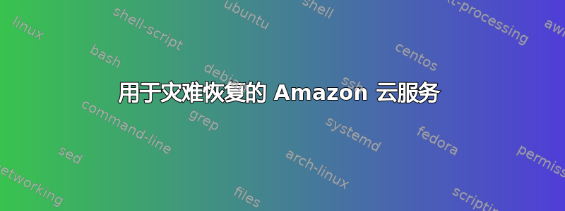 用于灾难恢复的 Amazon 云服务