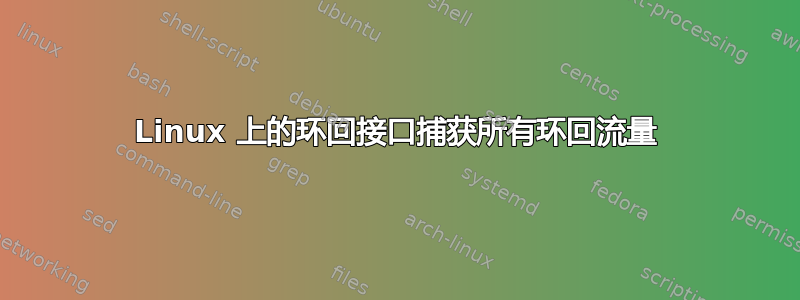 Linux 上的环回接口捕获所有环回流量