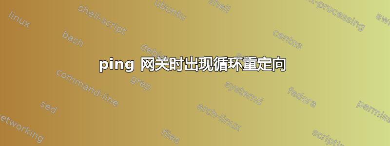 ping 网关时出现循环重定向