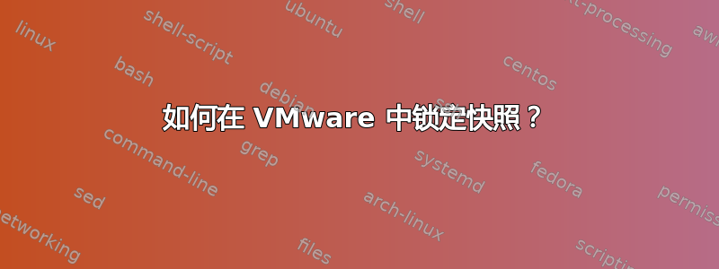 如何在 VMware 中锁定快照？