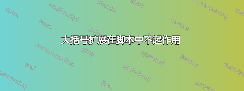 大括号扩展在脚本中不起作用