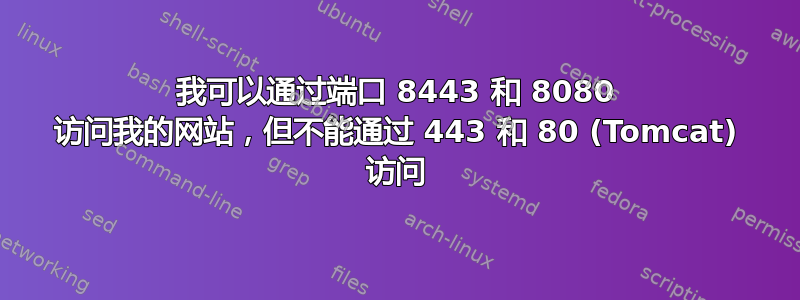 我可以通过端口 8443 和 8080 访问我的网站，但不能通过 443 和 80 (Tomcat) 访问