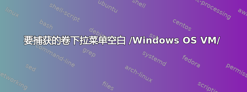 要捕获的卷下拉菜单空白 /Windows OS VM/