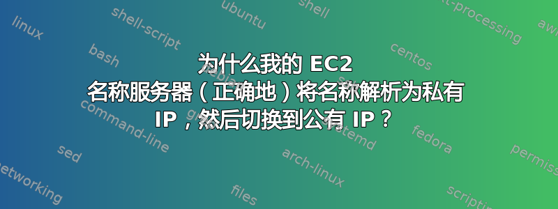 为什么我的 EC2 名称服务器（正确地）将名称解析为私有 IP，然后切换到公有 IP？