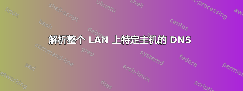 解析整个 LAN 上特定主机的 DNS