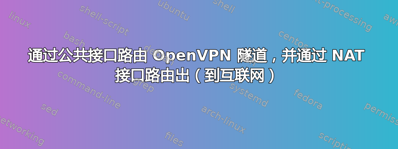 通过公共接口路由 OpenVPN 隧道，并通过 NAT 接口路由出（到互联网）