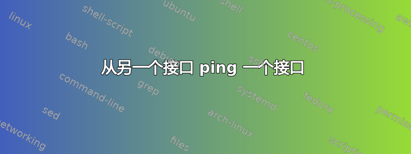 从另一个接口 ping 一个接口