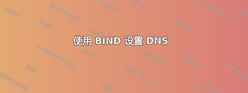 使用 BIND 设置 DNS 