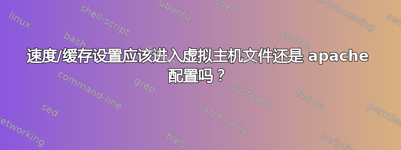 速度/缓存设置应该进入虚拟主机文件还是 apache 配置吗？