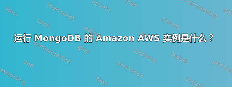 运行 MongoDB 的 Amazon AWS 实例是什么？