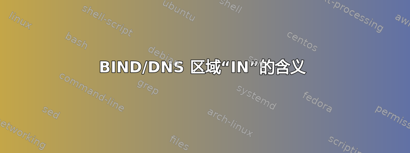 BIND/DNS 区域“IN”的含义