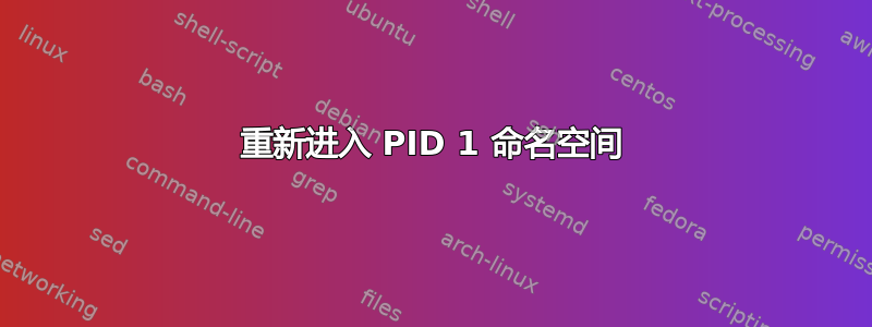 重新进入 PID 1 命名空间