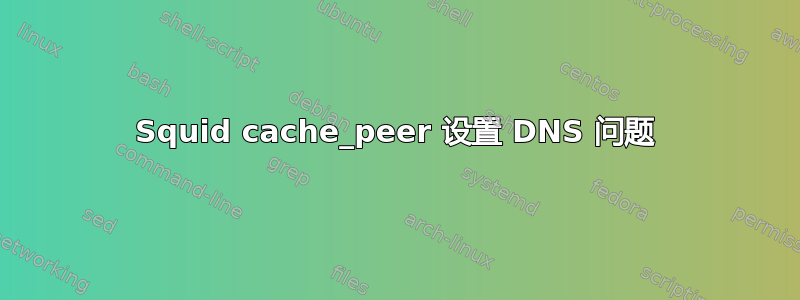 Squid cache_peer 设置 DNS 问题