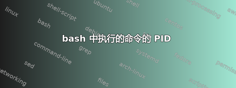 bash 中执行的命令的 PID