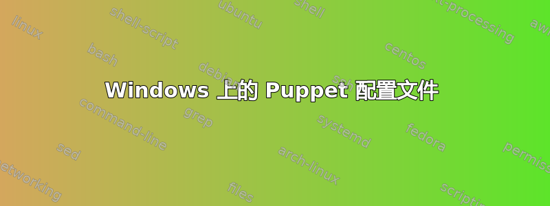 Windows 上的 Puppet 配置文件