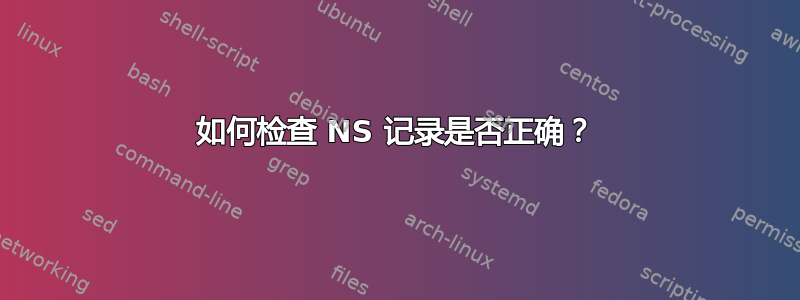 如何检查 NS 记录是否正确？