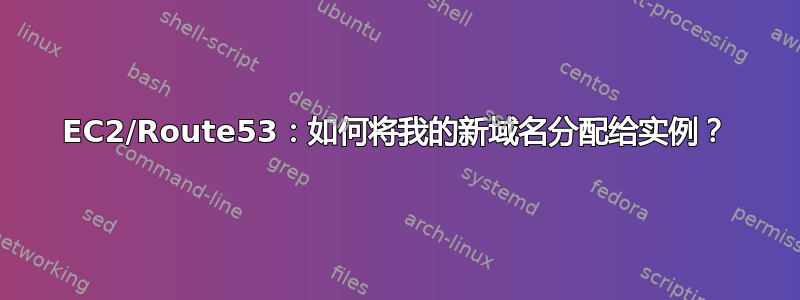 EC2/Route53：如何将我的新域名分配给实例？