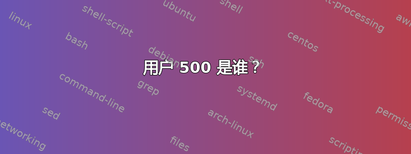 用户 500 是谁？