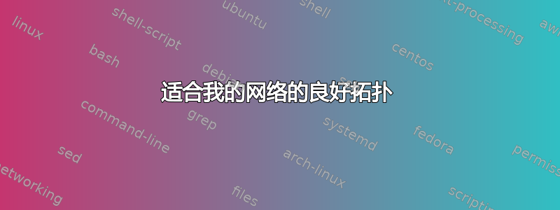 适合我的网络的良好拓扑