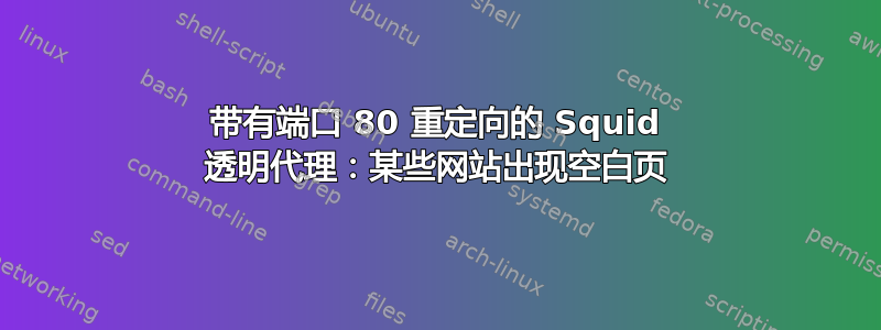 带有端口 80 重定向的 Squid 透明代理：某些网站出现空白页