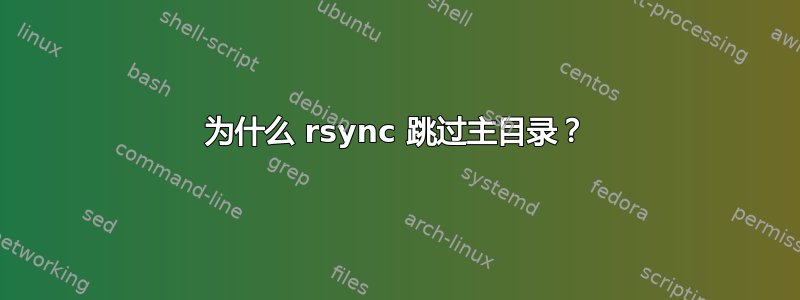 为什么 rsync 跳过主目录？