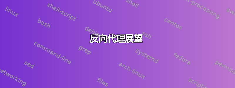 反向代理展望