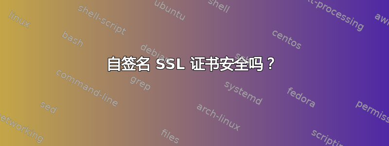 自签名 SSL 证书安全吗？