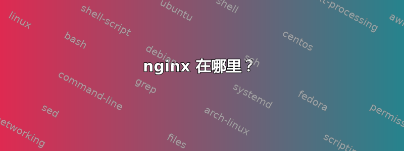 nginx 在哪里？