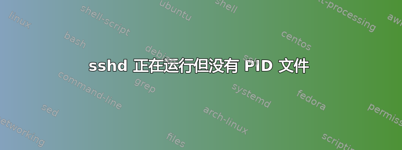 sshd 正在运行但没有 PID 文件