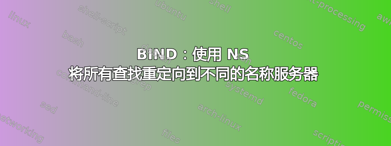 BIND：使用 NS 将所有查找重定向到不同的名称服务器