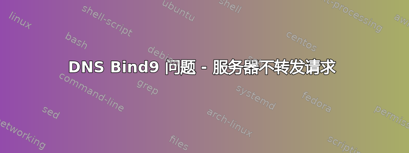 DNS Bind9 问题 - 服务器不转发请求