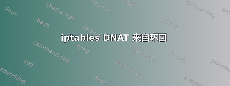 iptables DNAT 来自环回