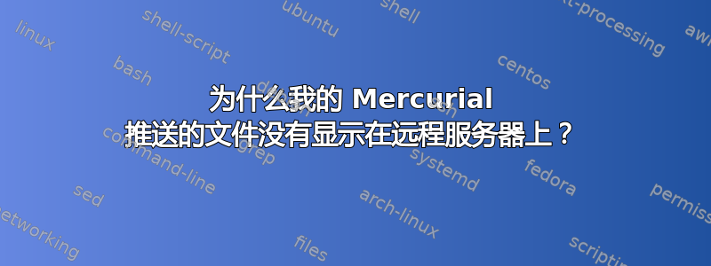 为什么我的 Mercurial 推送的文件没有显示在远程服务器上？