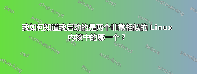 我如何知道我启动的是两个非常相似的 Linux 内核中的哪一个？