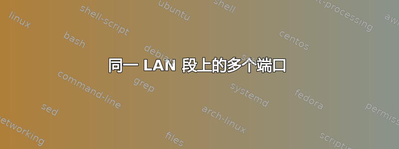 同一 LAN 段上的多个端口