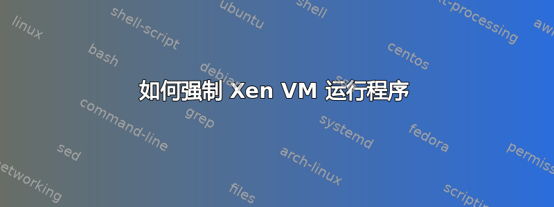 如何强制 Xen VM 运行程序