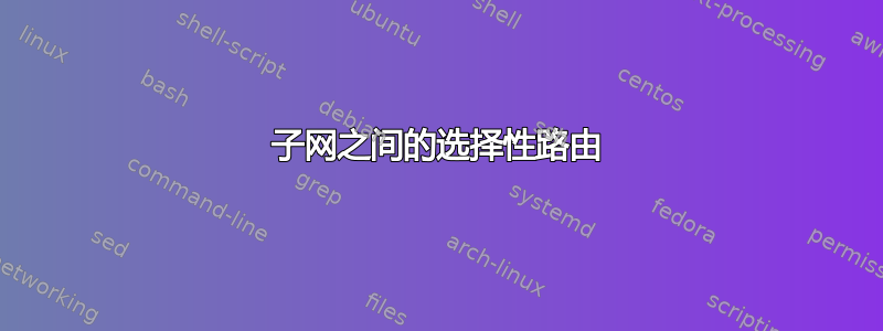 子网之间的选择性路由