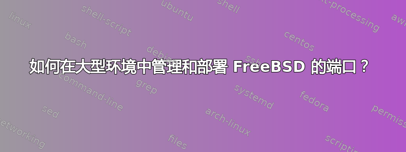 如何在大型环境中管理和部署 FreeBSD 的端口？