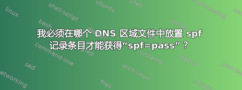 我必须在哪个 DNS 区域文件中放置 spf 记录条目才能获得“spf=pass”？