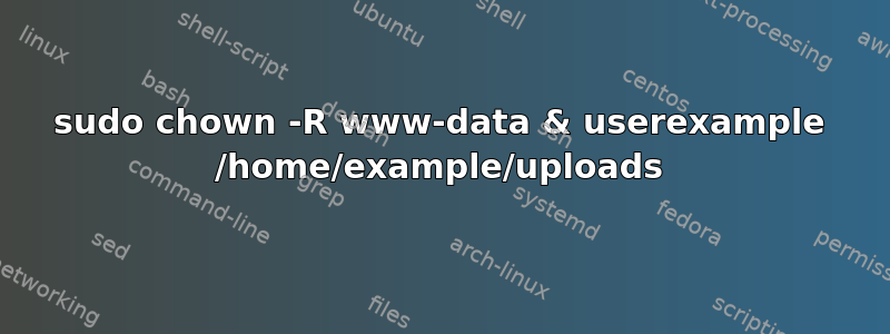 sudo chown -R www-data & userexample /home/example/uploads