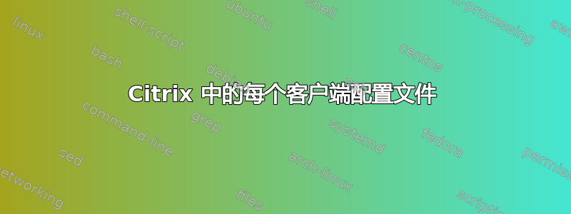 Citrix 中的每个客户端配置文件