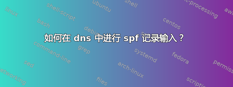 如何在 dns 中进行 spf 记录输入？