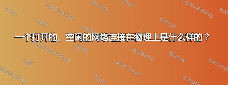 一个打开的、空闲的网络连接在物理上是什么样的？