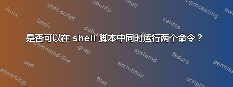 是否可以在 shell 脚本中同时运行两个命令？