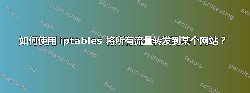 如何使用 iptables 将所有流量转发到某个网站？