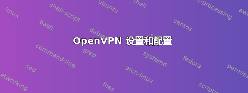 OpenVPN 设置和配置