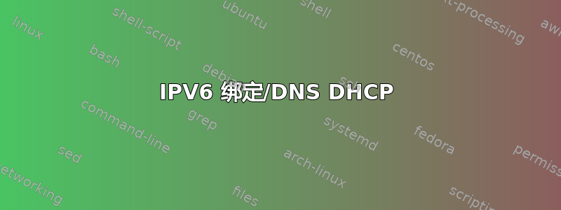 IPV6 绑定/DNS DHCP