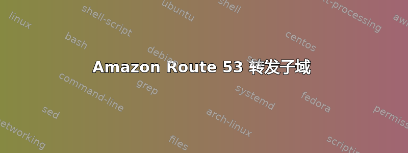 Amazon Route 53 转发子域