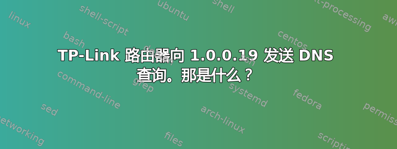 TP-Link 路由器向 1.0.0.19 发送 DNS 查询。那是什么？