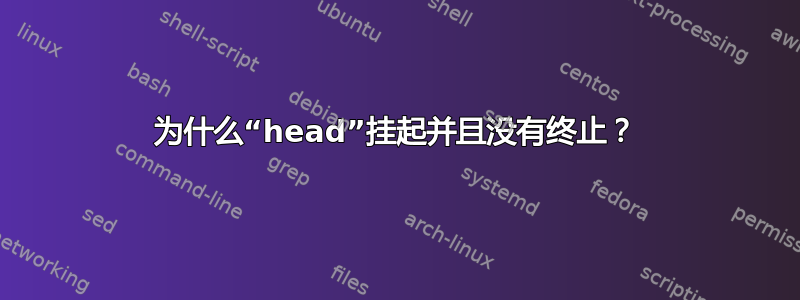 为什么“head”挂起并且没有终止？